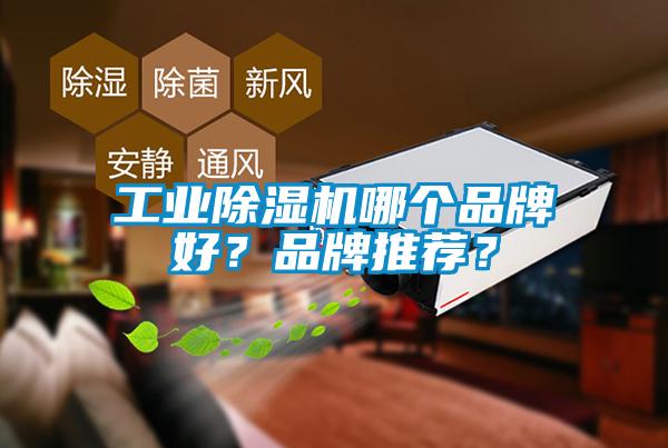 工业除湿机哪个品牌好？品牌推荐？