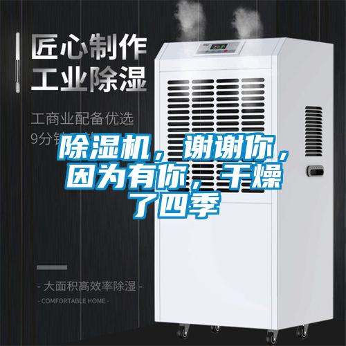 除湿机，谢谢你，因为有你，干燥了四季