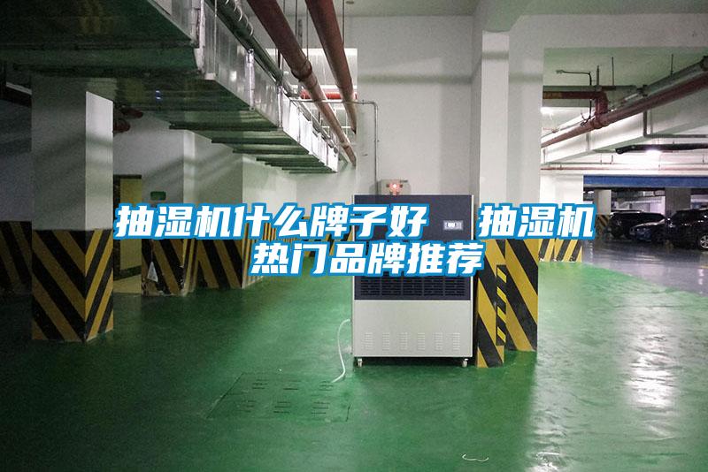抽湿机什么牌子好  抽湿机 热门品牌推荐