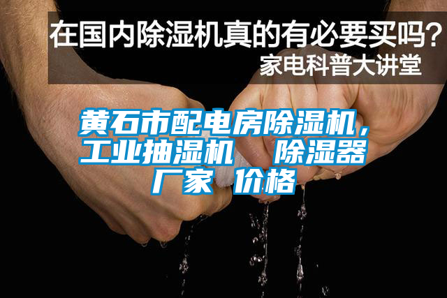 黄石市配电房除湿机，工业抽湿机  除湿器厂家 价格