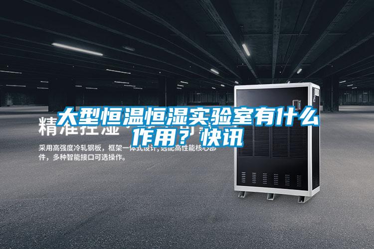 大型恒温恒湿实验室有什么作用？快讯