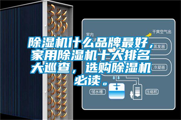 除湿机什么品牌最好，家用除湿机十大排名大巡查，选购除湿机必读。