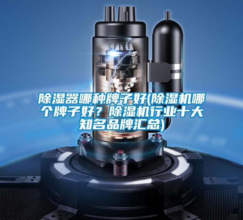 除湿器哪种牌子好(除湿机哪个牌子好？除湿机行业十大知名品牌汇总)