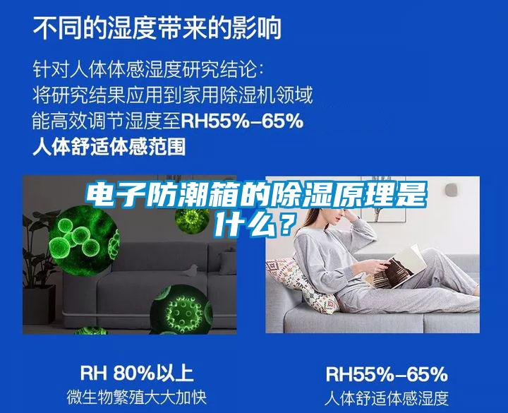 电子防潮箱的除湿原理是什么？