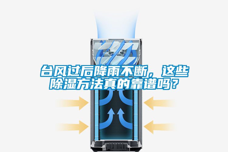 台风过后降雨不断，这些除湿方法真的靠谱吗？