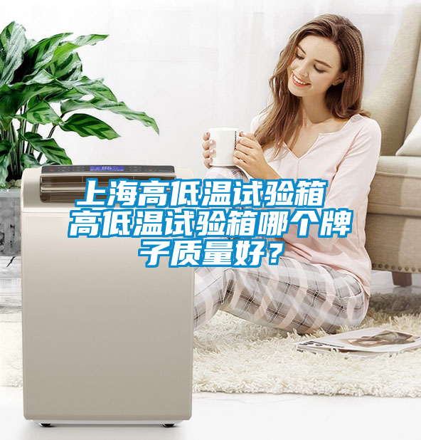 上海高低温试验箱 高低温试验箱哪个牌子质量好？
