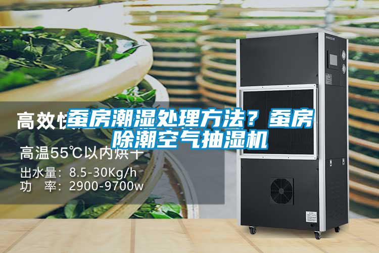 蚕房潮湿处理方法？蚕房除潮空气抽湿机