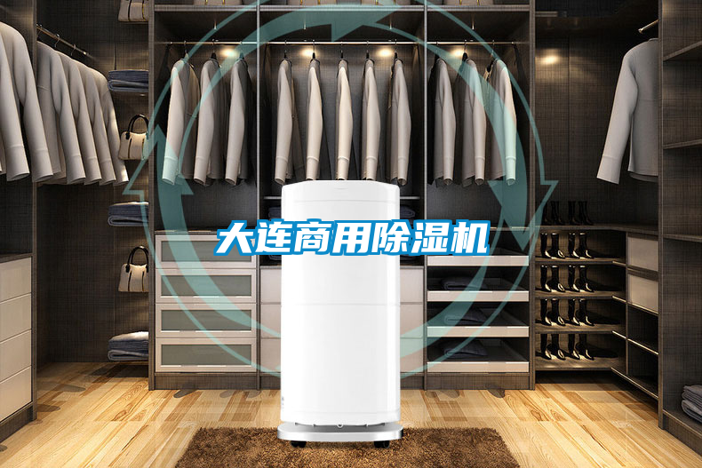 大连商用除湿机