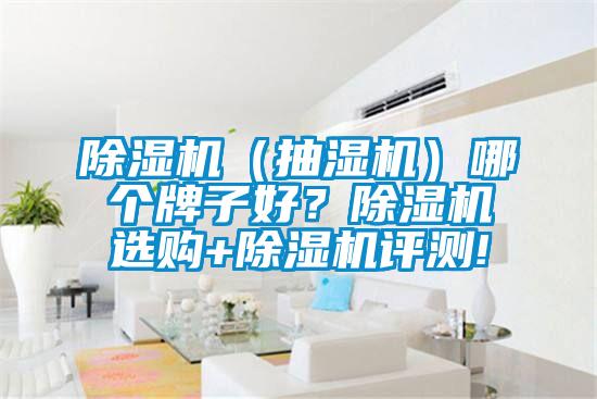 除湿机（抽湿机）哪个牌子好？除湿机选购+除湿机评测!