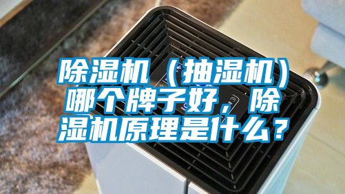 除湿机（抽湿机）哪个牌子好，除湿机原理是什么？