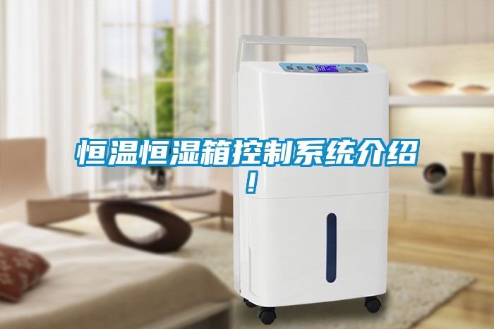 恒温恒湿箱控制系统介绍！