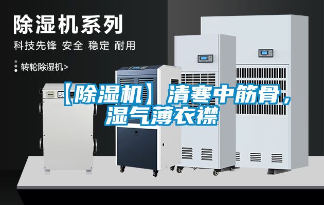 【除湿机】清寒中筋骨，湿气薄衣襟
