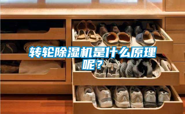 转轮除湿机是什么原理呢？