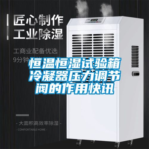 恒温恒湿试验箱冷凝器压力调节阀的作用快讯