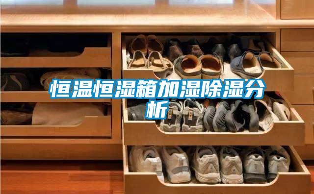 恒温恒湿箱加湿除湿分析