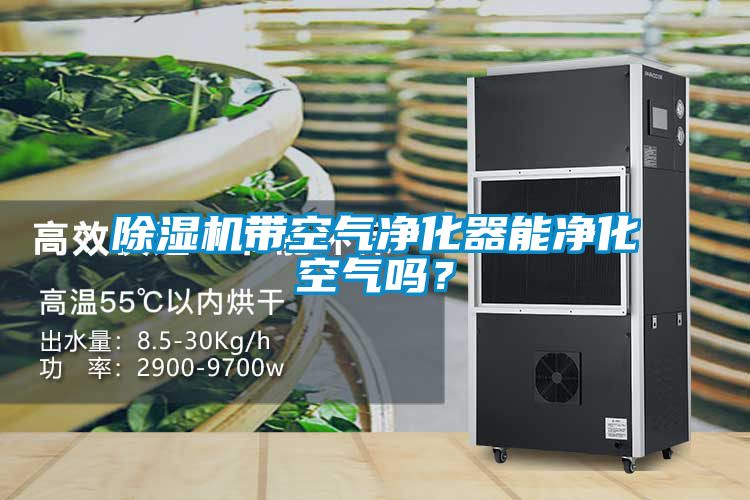 除湿机带空气净化器能净化空气吗？