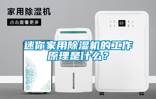 迷你家用除湿机的工作原理是什么？