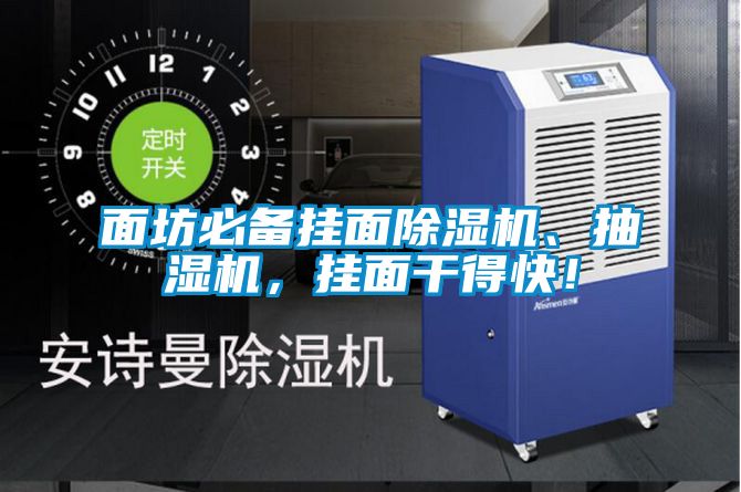 面坊必备挂面除湿机、抽湿机，挂面干得快！