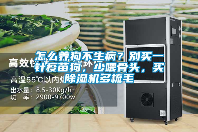怎么养狗不生??？别买一针疫苗狗，少喂骨头，买除湿机多梳毛