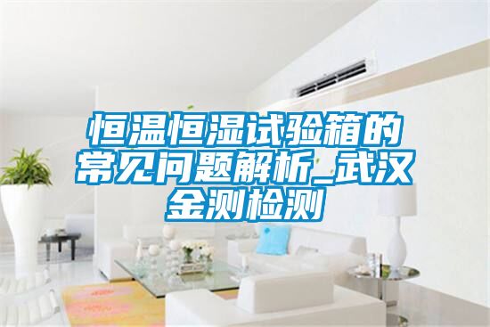 恒温恒湿试验箱的常见问题解析_武汉金测检测