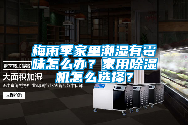 梅雨季家里潮湿有霉味怎么办？家用除湿机怎么选择？