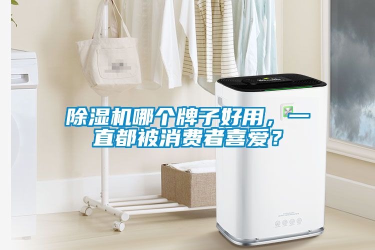 除濕機哪個牌子好用，一直都被消費者喜愛？