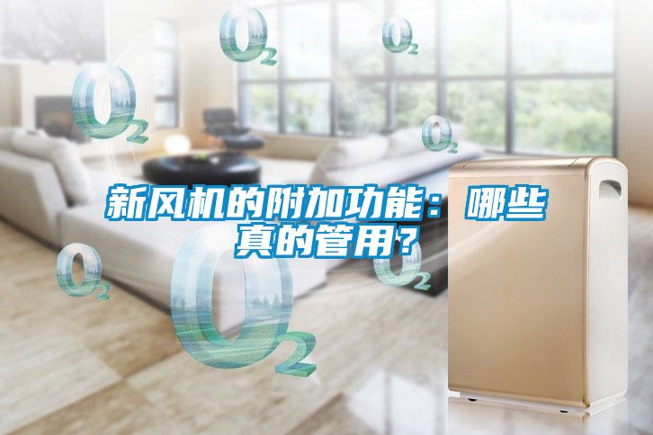 新风机的附加功能：哪些真的管用？