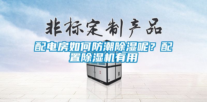 配电房如何防潮除湿呢？配置除湿机有用