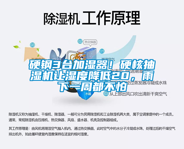 硬鋼3臺加濕器！硬核抽濕機讓濕度降低20，雨下一周都不怕