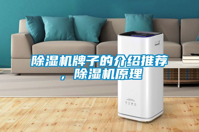除湿机牌子的介绍推荐，除湿机原理