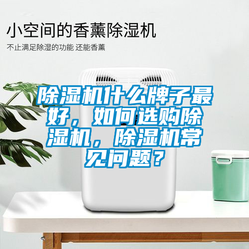 除湿机什么牌子最好，如何选购除湿机，除湿机常见问题？