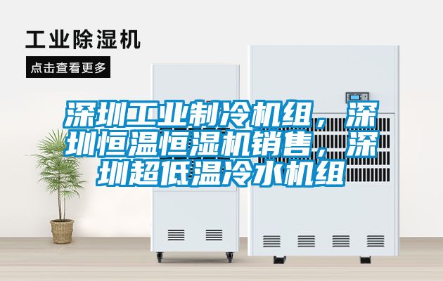 深圳工业制冷机组，深圳恒温恒湿机销售，深圳超低温冷水机组
