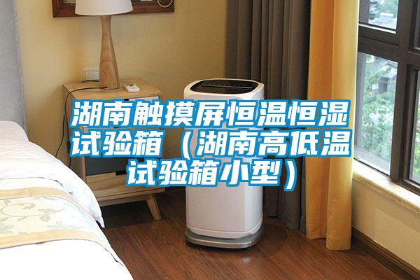 湖南触摸屏恒温恒湿试验箱（湖南高低温试验箱小型）