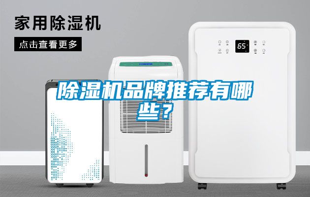 除湿机品牌推荐有哪些？