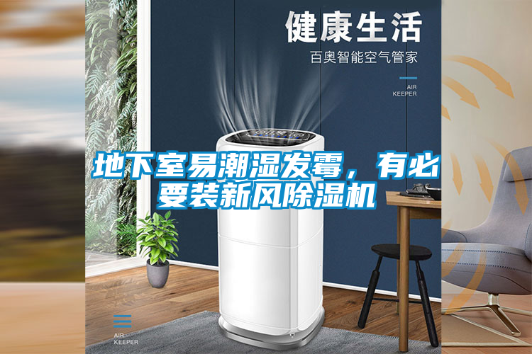 地下室易潮湿发霉，有必要装新风除湿机