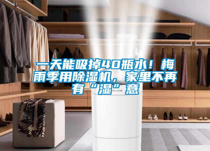 一天能吸掉40瓶水！梅雨季用除湿机，家里不再有“湿”意