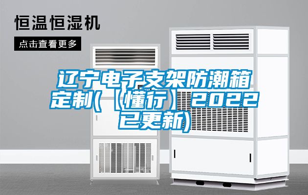 辽宁电子支架防潮箱定制(【懂行】2022已更新)