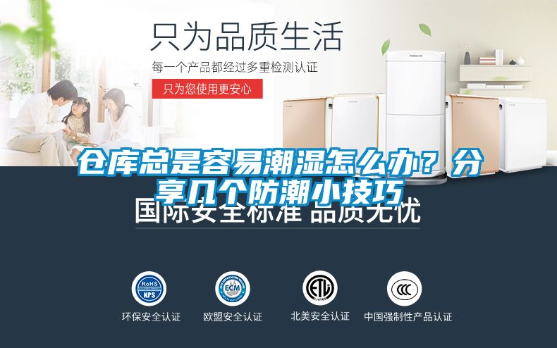 仓库总是容易潮湿怎么办？分享几个防潮小技巧