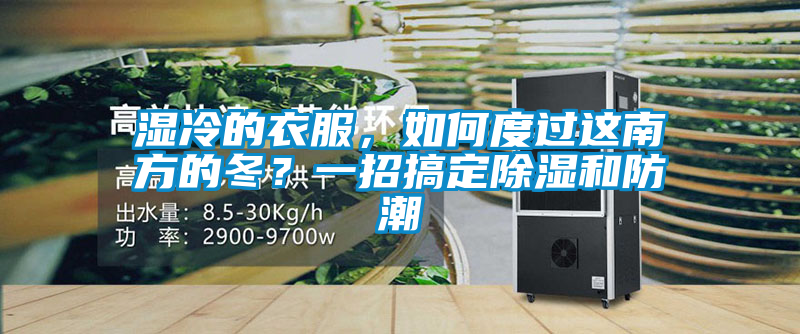 湿冷的衣服，如何度过这南方的冬？一招搞定除湿和防潮