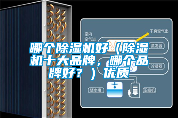 哪个除湿机好（除湿机十大品牌，哪个品牌好？）优质