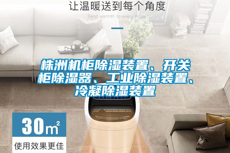 株洲机柜除湿装置、开关柜除湿器、工业除湿装置、冷凝除湿装置