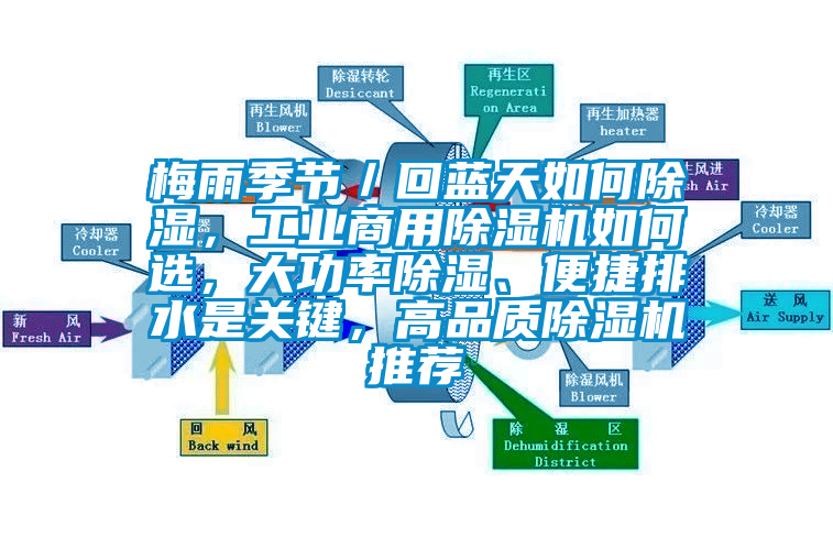梅雨季節(jié)／回藍(lán)天如何除濕，工業(yè)商用除濕機如何選，大功率除濕、便捷排水是關(guān)鍵，高品質(zhì)除濕機推薦