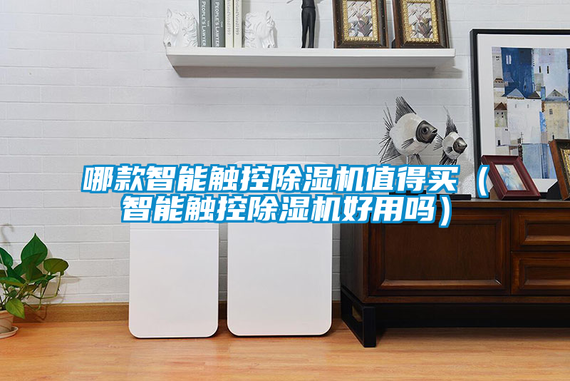 哪款智能触控除湿机值得买（智能触控除湿机好用吗）