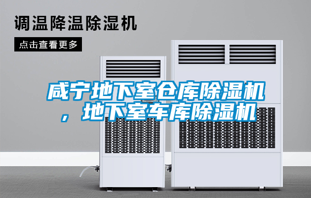 咸宁地下室仓库除湿机，地下室车库除湿机