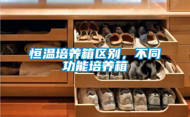 恒温培养箱区别，不同功能培养箱