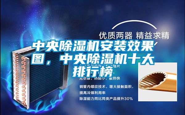 中央除湿机安装效果图，中央除湿机十大排行榜
