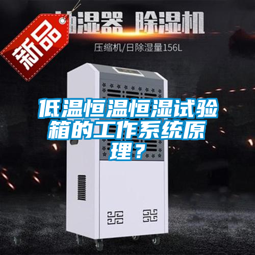 低溫恒溫恒濕試驗(yàn)箱的工作系統(tǒng)原理？