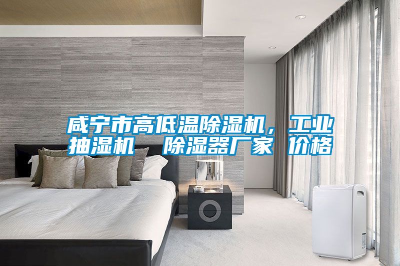 咸宁市高低温除湿机，工业抽湿机  除湿器厂家 价格