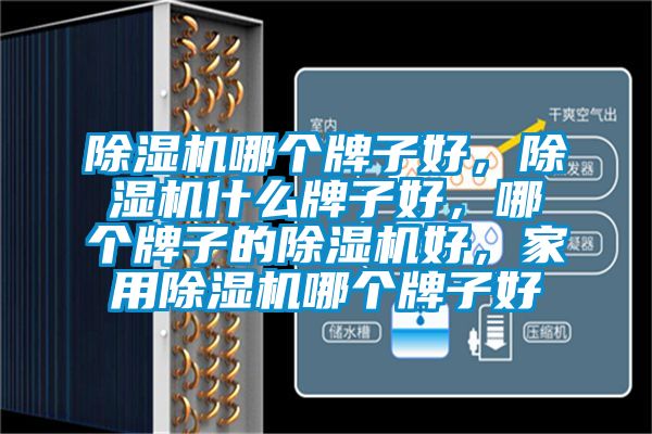 除湿机哪个牌子好，除湿机什么牌子好，哪个牌子的除湿机好，家用除湿机哪个牌子好