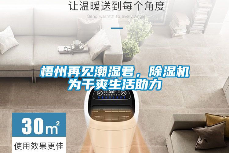 梧州再见潮湿君，除湿机为干爽生活助力